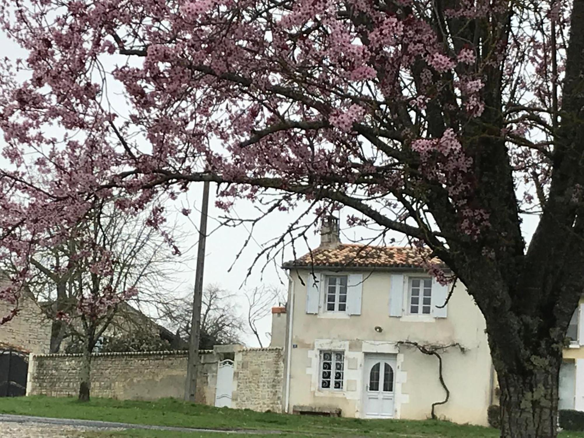 La Maison De Josephine Montignac-Charente المظهر الخارجي الصورة